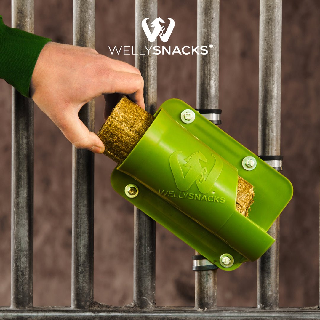 Wellyholder Kennenlern-Set - Wellyholder & Gratis 6 Wellysticks Pure - WELLYSNACKS PFERDE LIEBEN ES