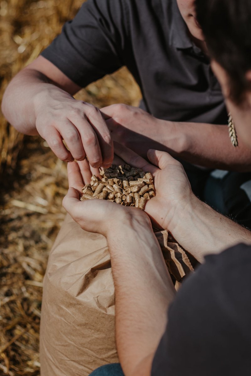 Teutogold Strohpellets - WELLYSNACKS PFERDE LIEBEN ES