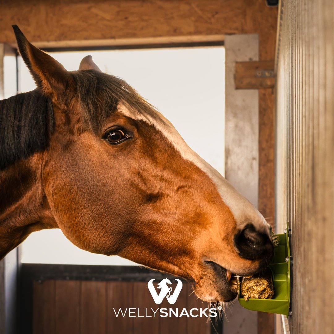 Wellyholder - Halter für Wellysticks, ideal für langen Knabberspaß - WELLYSNACKS PFERDE LIEBEN ES